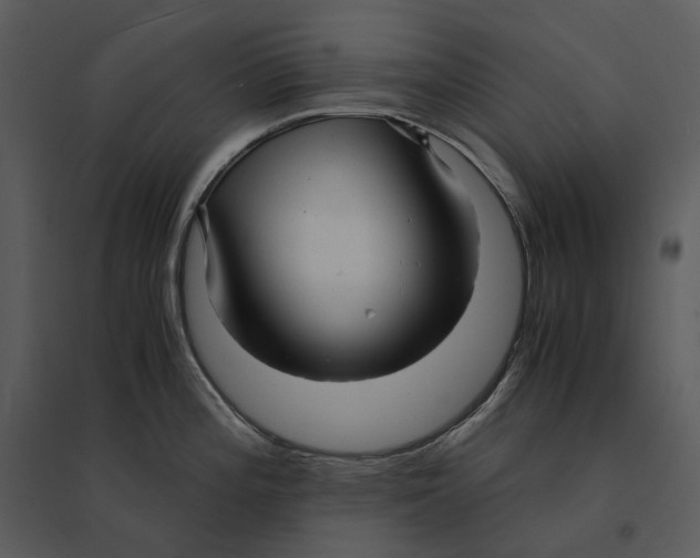 X0000095521196200801041216