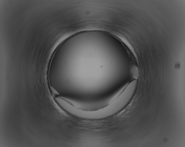 X0000095521197200801041216