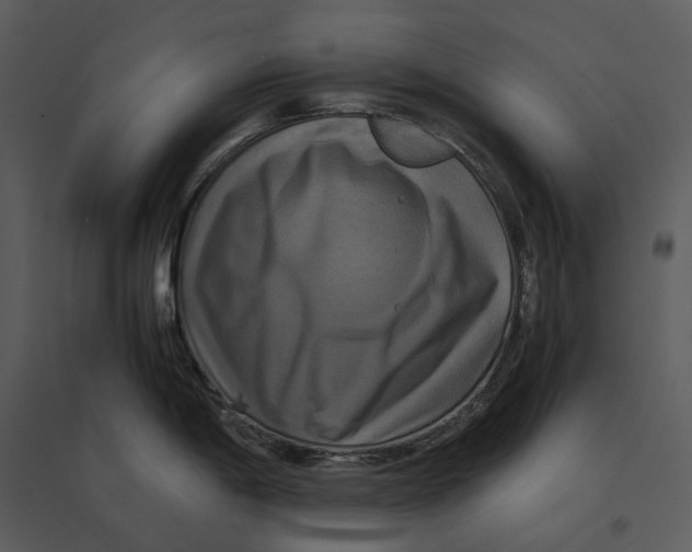 X0000095521198200801041216