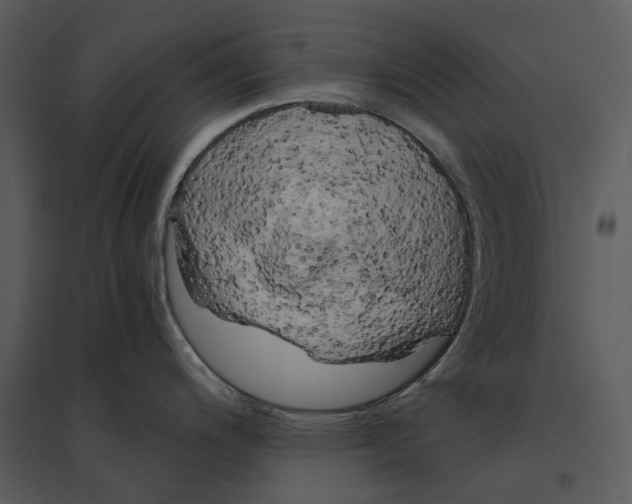 X0000095521200200801041216