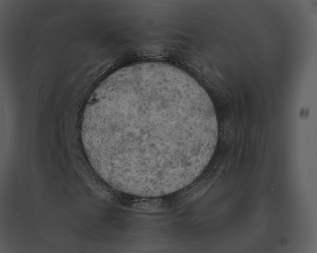 X0000095521201200801041215