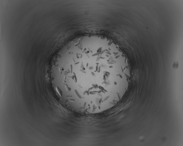 X0000095521202200801041215