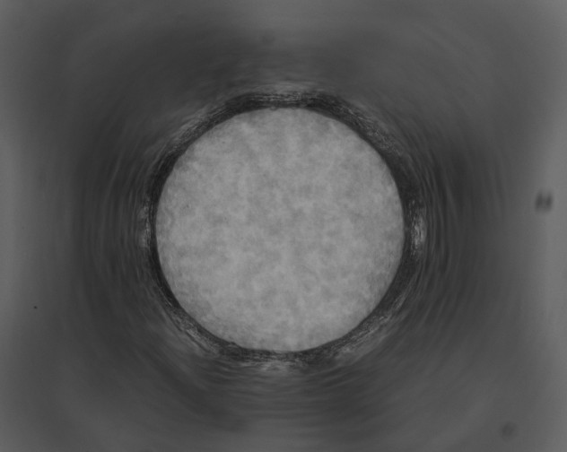 X0000095521204200801041215