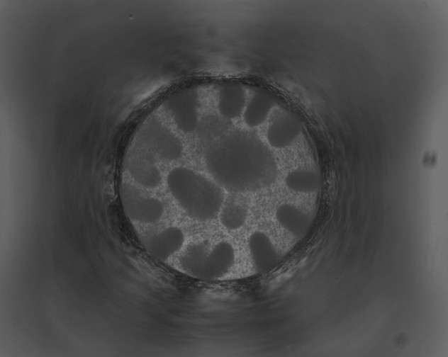 X0000095521205200801041215