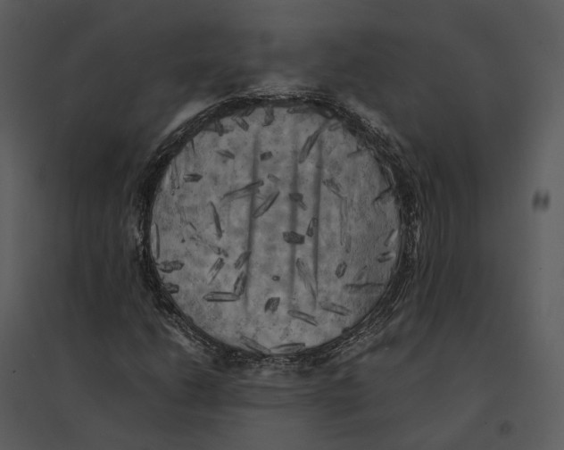 X0000095521206200801041215