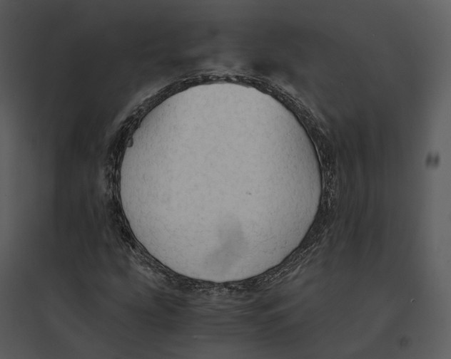 X0000095521207200801041215