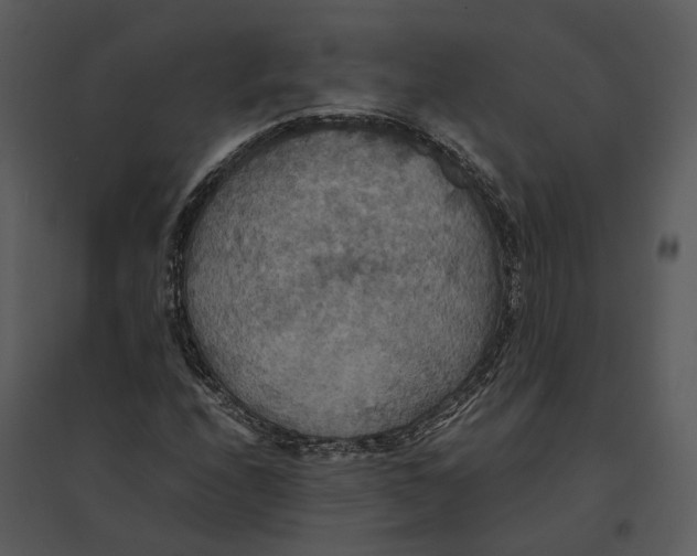 X0000095521208200801041215