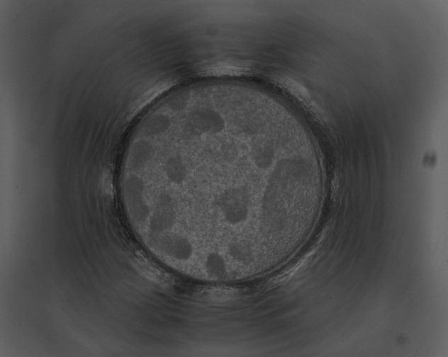 X0000095521209200801041215