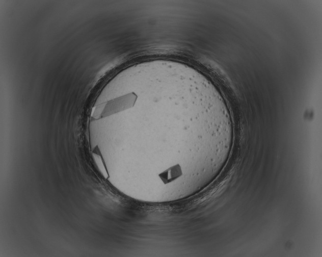 X0000095521210200801041215