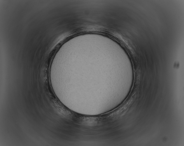 X0000095521211200801041215