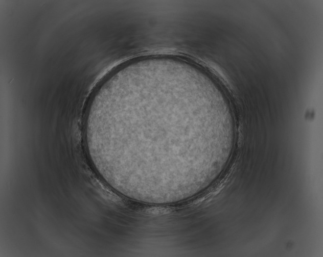 X0000095521212200801041215