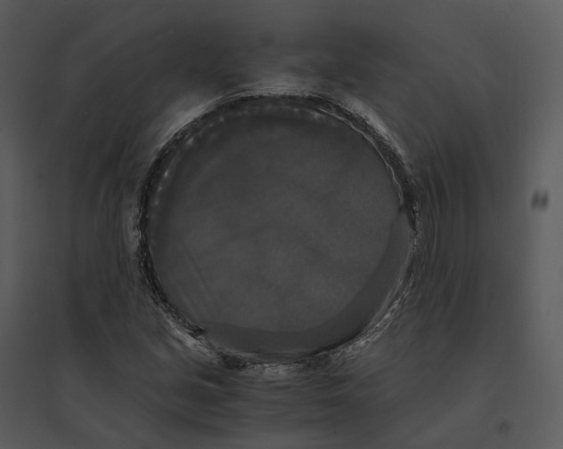 X0000095521213200801041215