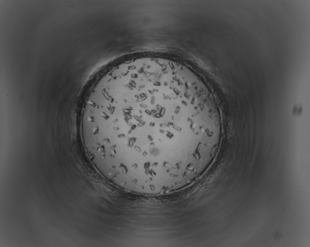 X0000095521214200801041216