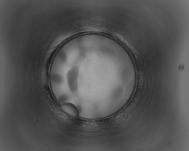 X0000095521215200801041216