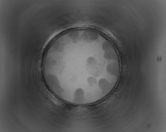 X0000095521216200801041216