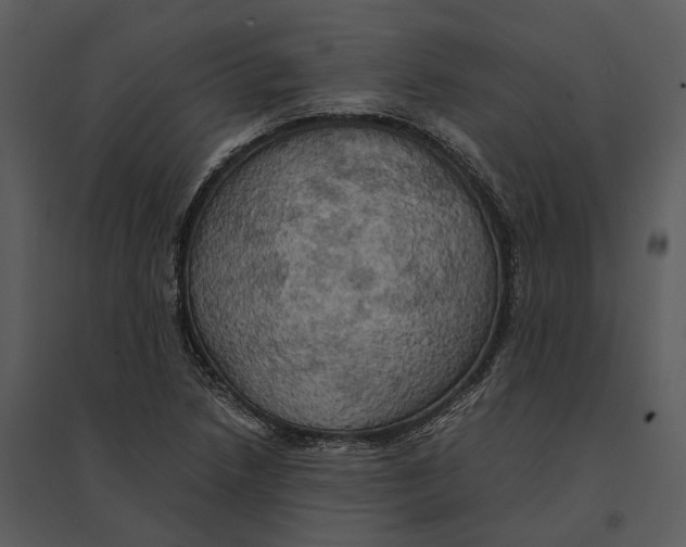 X0000095521218200801041216