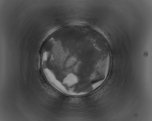 X0000095521219200801041216