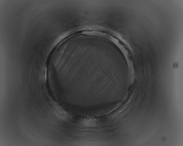 X0000095521221200801041216