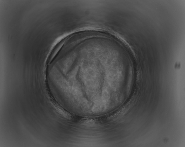 X0000095521222200801041216