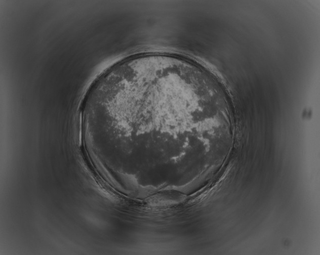 X0000095521223200801041216