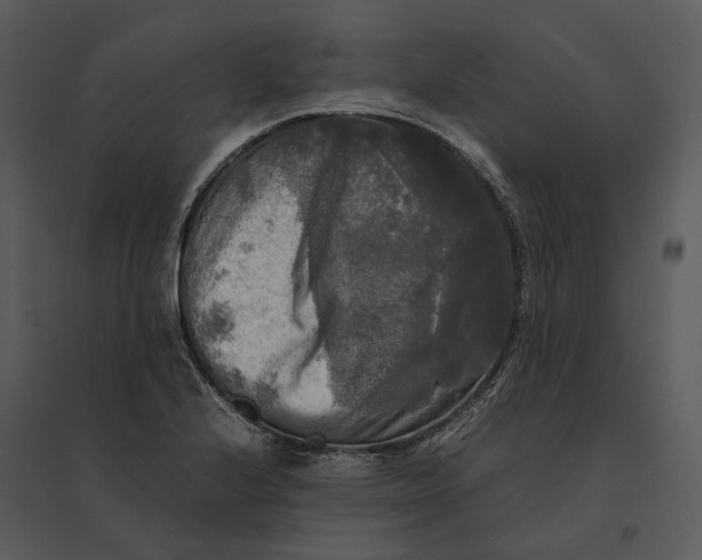 X0000095521224200801041216