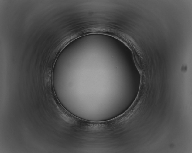 X0000095521225200801041216