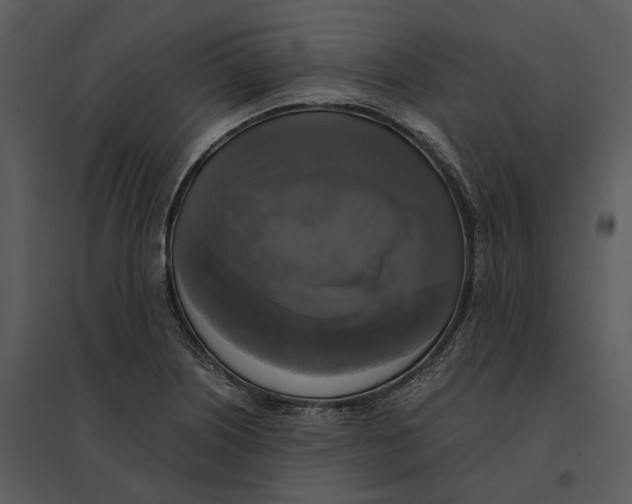 X0000095521226200801041216