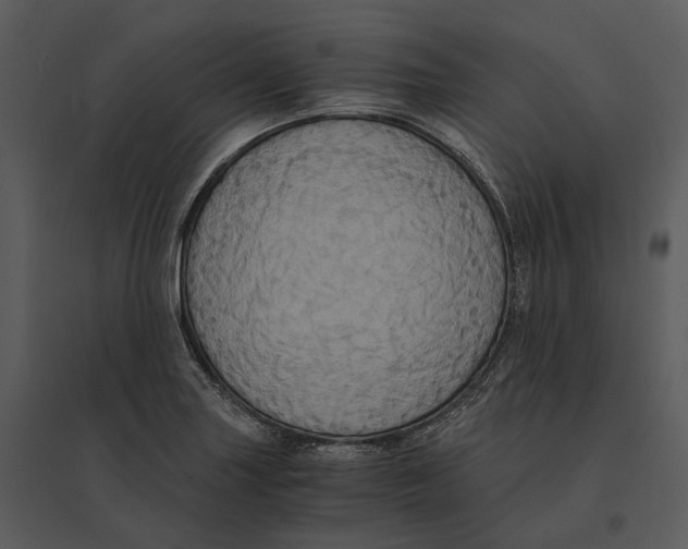 X0000095521227200801041216