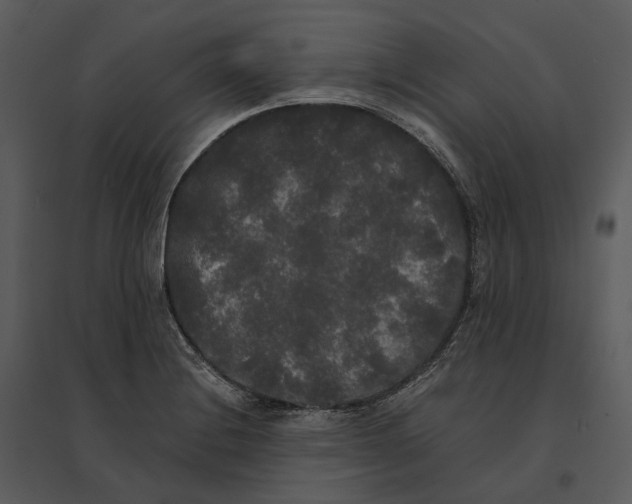 X0000095521228200801041216