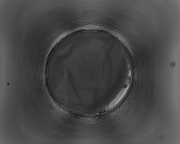 X0000095521229200801041216