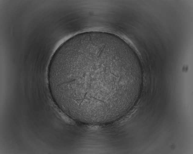 X0000095521230200801041216