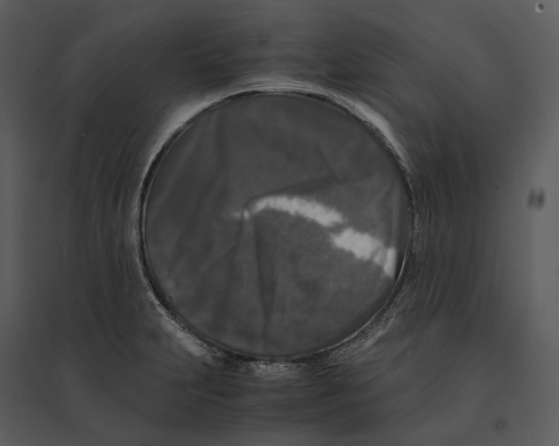 X0000095521231200801041216