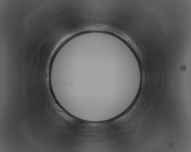 X0000095521232200801041216