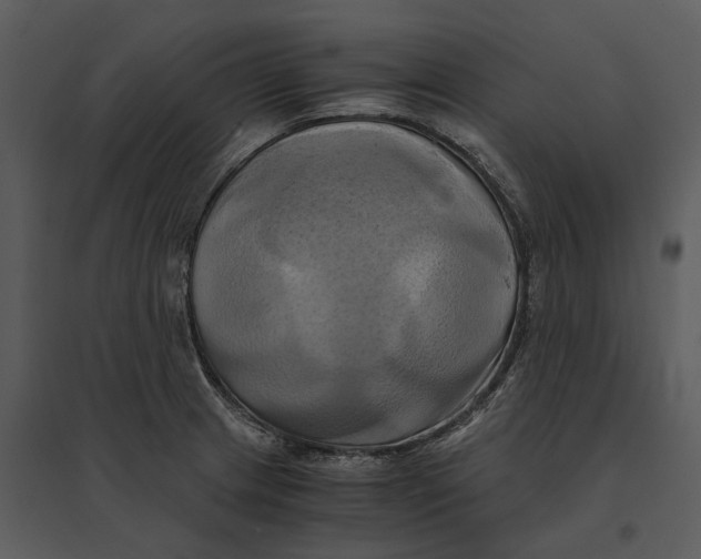 X0000095521233200801041216