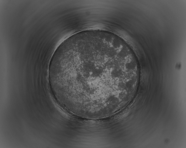 X0000095521234200801041216