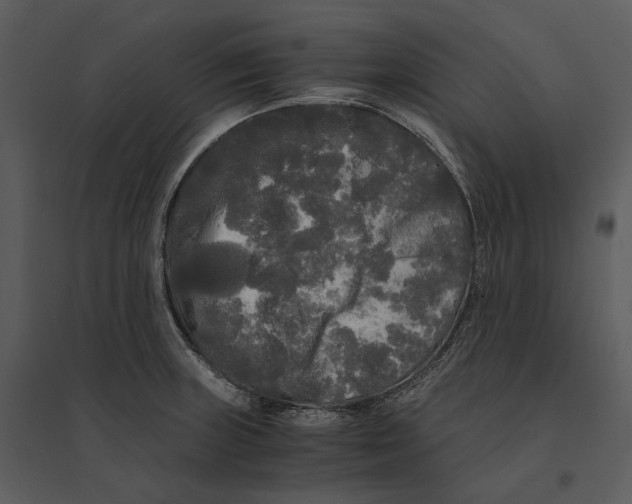 X0000095521235200801041216