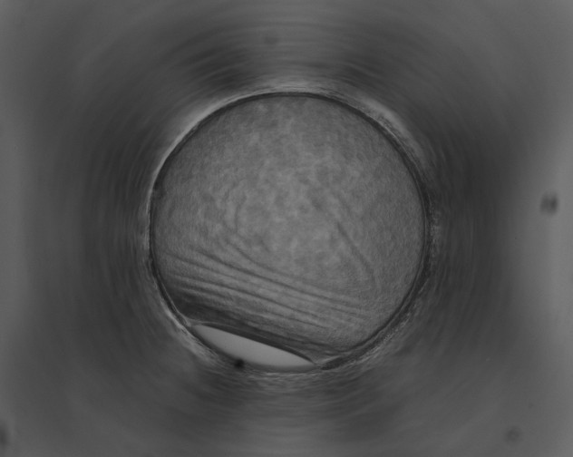 X0000095521236200801041216