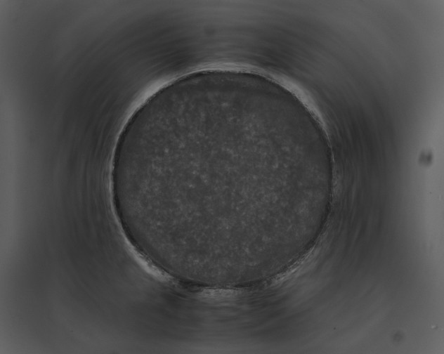 X0000095521237200801041216