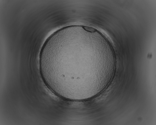 X0000095521238200801041216