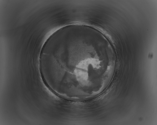 X0000095521239200801041216