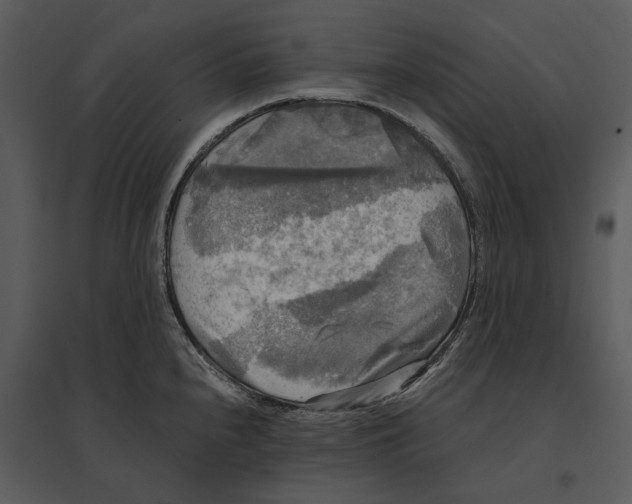 X0000095521240200801041216