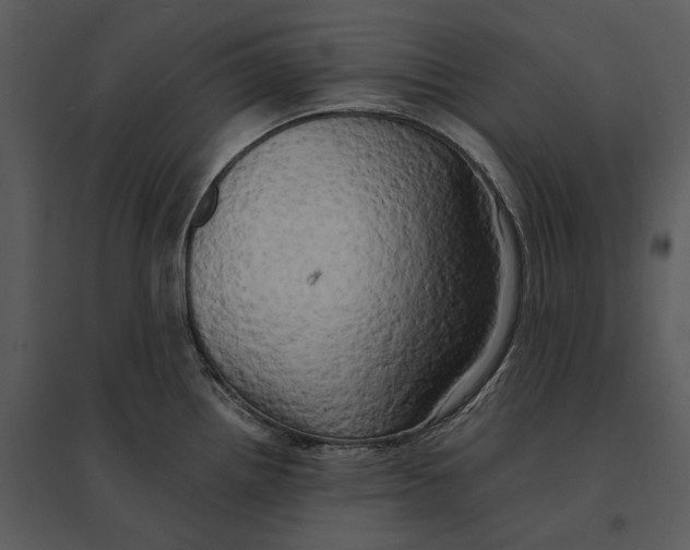 X0000095521242200801041216