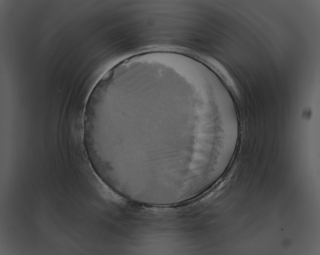 X0000095521244200801041216