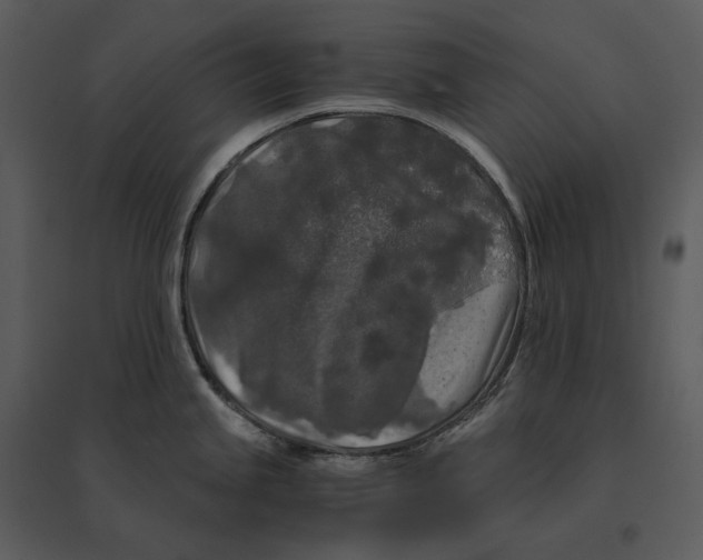 X0000095521245200801041216