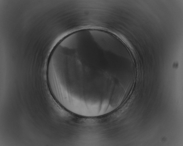 X0000095521246200801041216