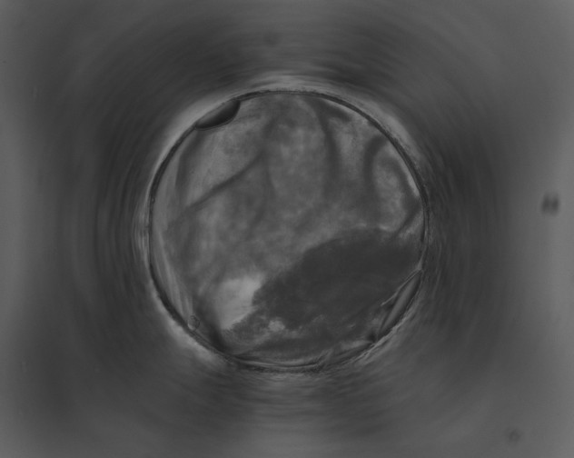 X0000095521247200801041216