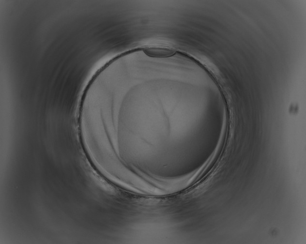 X0000095521248200801041216