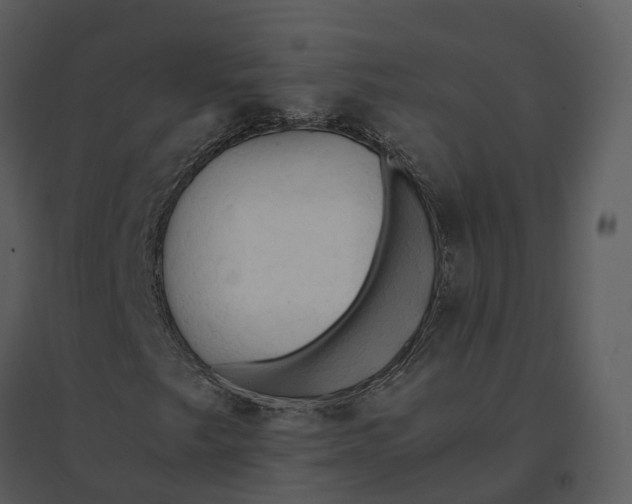 X0000095521249200801041215