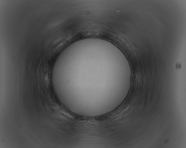 X0000095521250200801041215