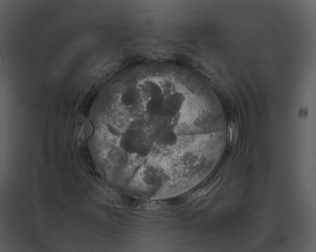 X0000095521251200801041215